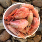 Fresh Shell-on Prawns (Approx. 1 pint)